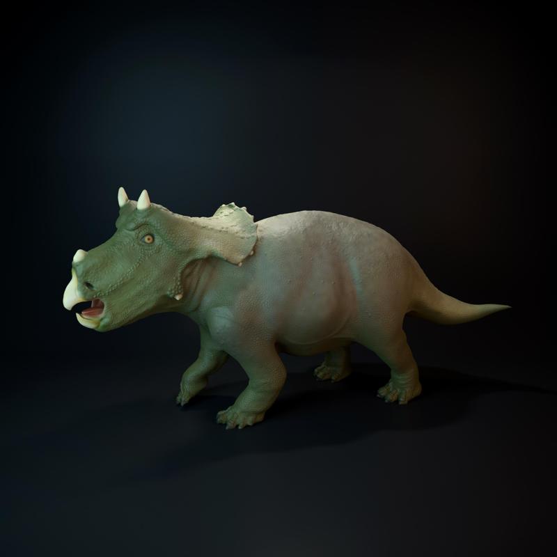 Triceratops baby dinosaur