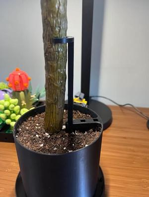 Propagation Planter with Support (4 inch)   