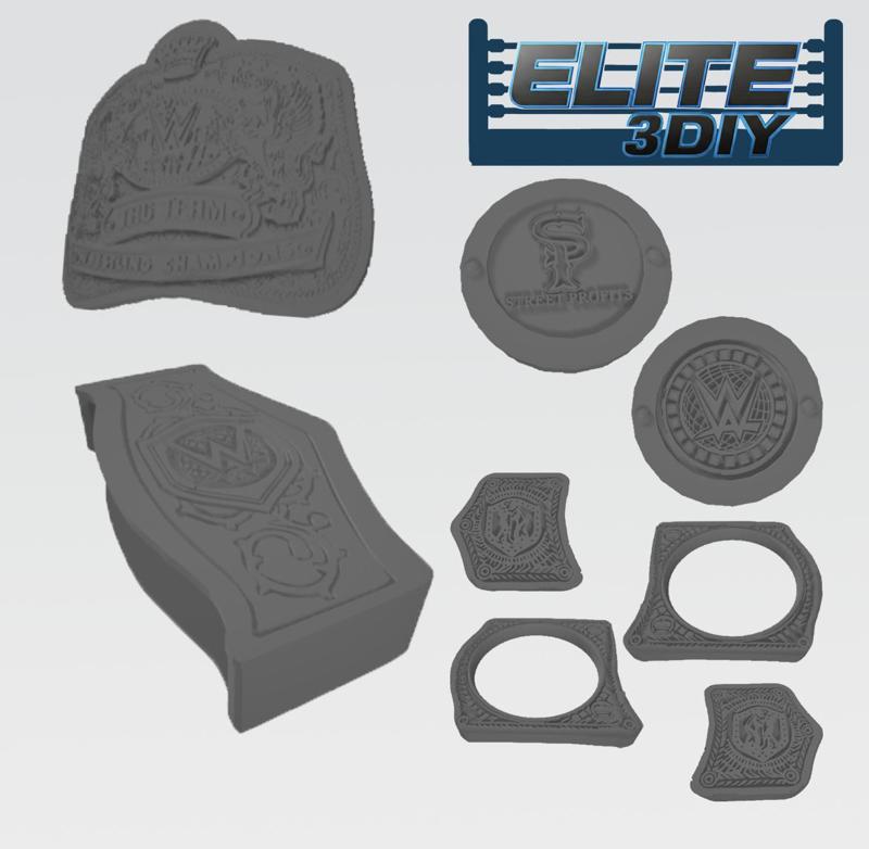 WWE Tag Team Championship 2024 Plates