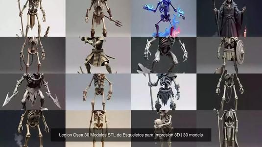 Legion Osea 30 Modelos STL de Esqueletos para Impresion 3D 3D Model Collection