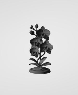 orchid decoration