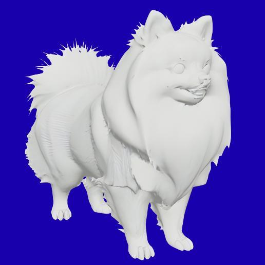 Fluffy Pomeranian Sculpture