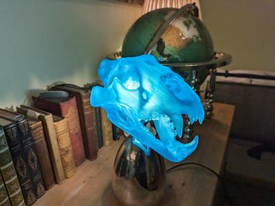 Cat lion skull lamp