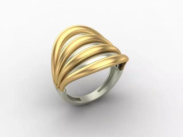 Two parts ring