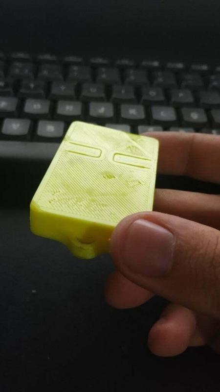 Case controle portão PPA