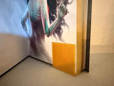Shadows of Self Leatherbound Book Shoe - Cosmere