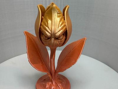 The Enchanted Tulip