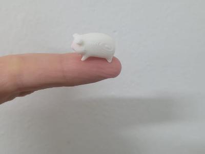 mini pigi