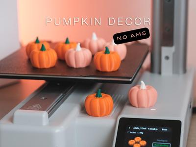 Small Pumpkin Decor