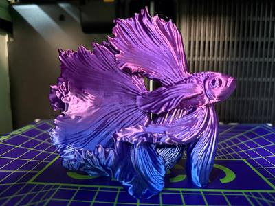 Betta Fish (Betta) Sculpture 2