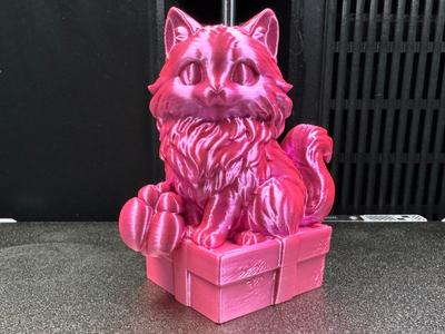 Cat with and without gift box