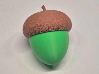Acorn