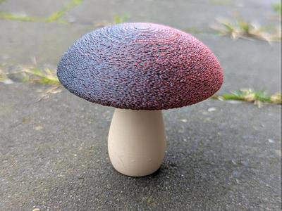 cute very small mushroom with big flat cap