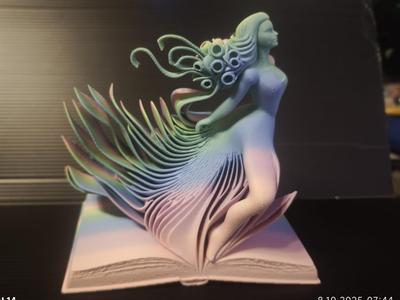 Spirit of the book
