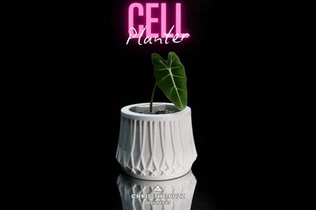 "Cell" Planter – Bold Design, Flexible Use
