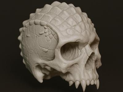 Crocodille skull