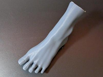 Feet - Foot