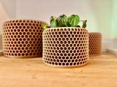 The Honeycomb Planter