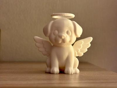 Angel dog
