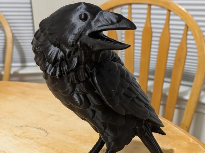 Raven - version 02
