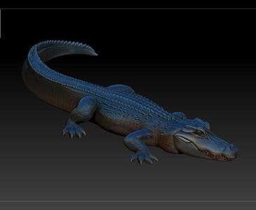 BIG CROCODILE