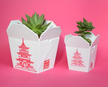 CHINESE TAKEOUT BOX PLANTER