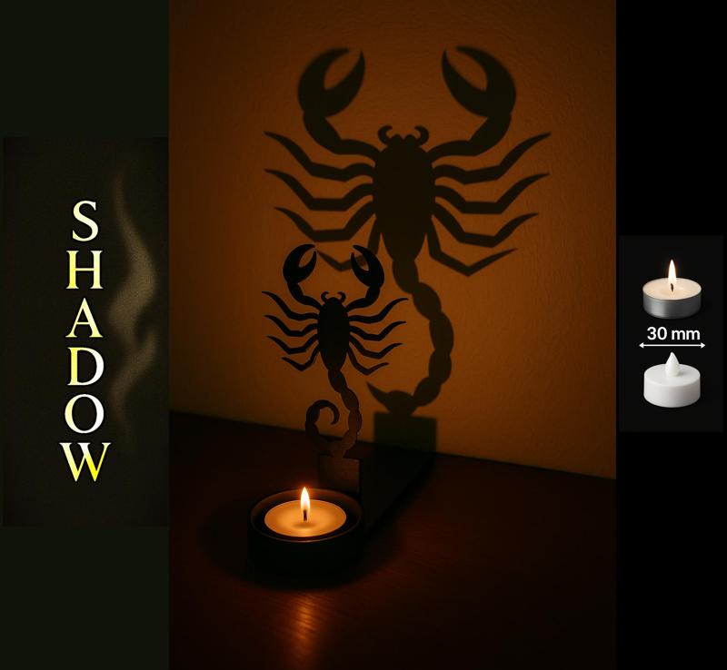 Shadow Art - Scorpio