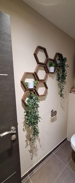 Honeycomb shelf with flower pot