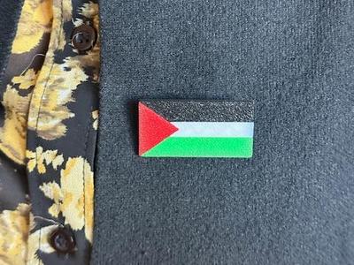 Palestine flag pin