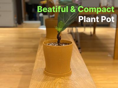 Plant Pot