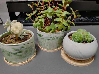Flower pot tray