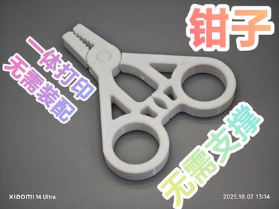 Pliers model