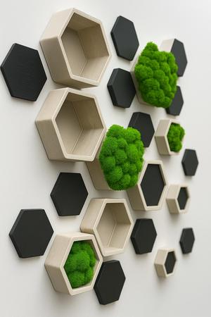 Hexagonal shelves for plants and decor