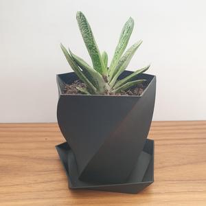 Twisted Flower Pot