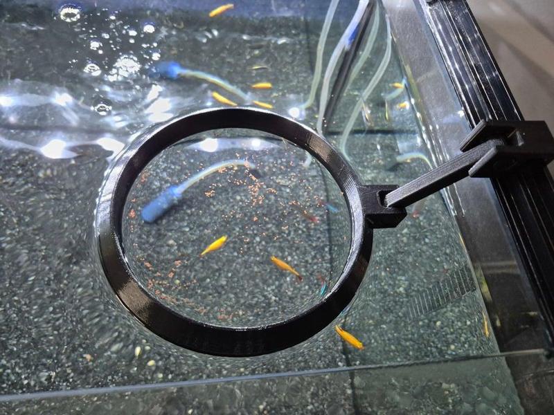 Aquarium - Fish Feeding Ring