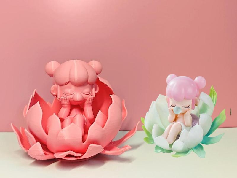 ROLIfe - Tianshan Snow Lotus