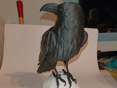Crow on Skull