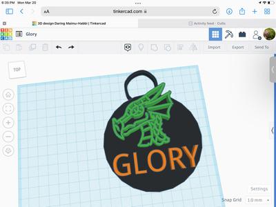 Wings of fire glory pendant