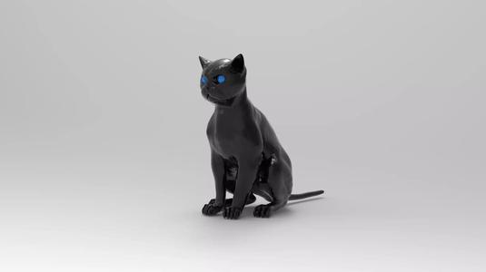 cat 4