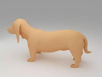 Basset Hound 3D Model