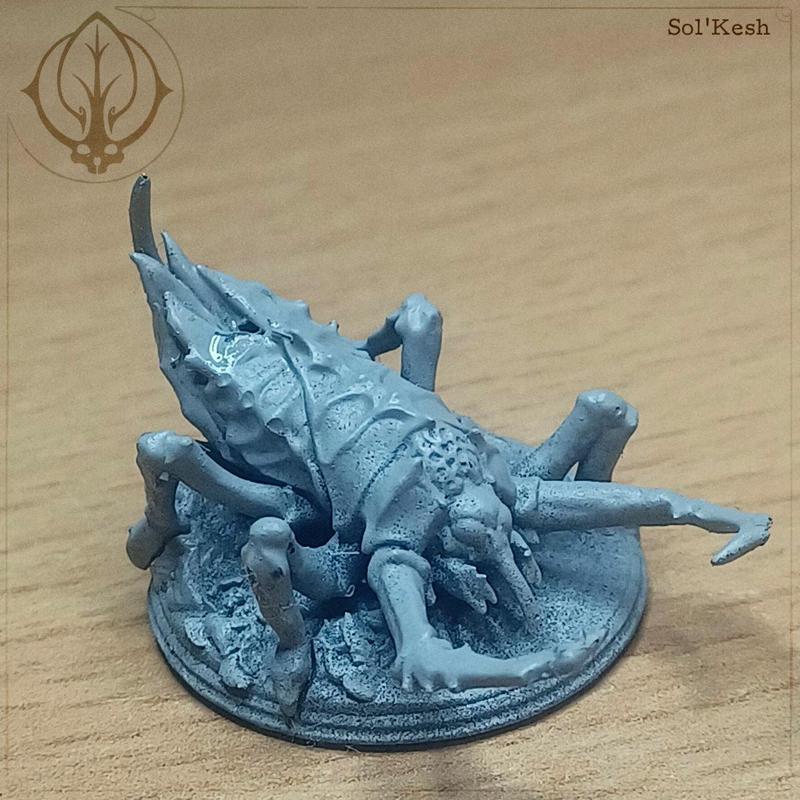 SOL'KESH WRAKIS 3D MINI