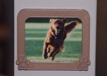 Dog Paw Picture Frame Refrigerator Magnet