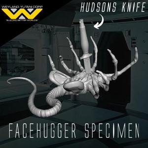 Aliens Facehugger Specimen