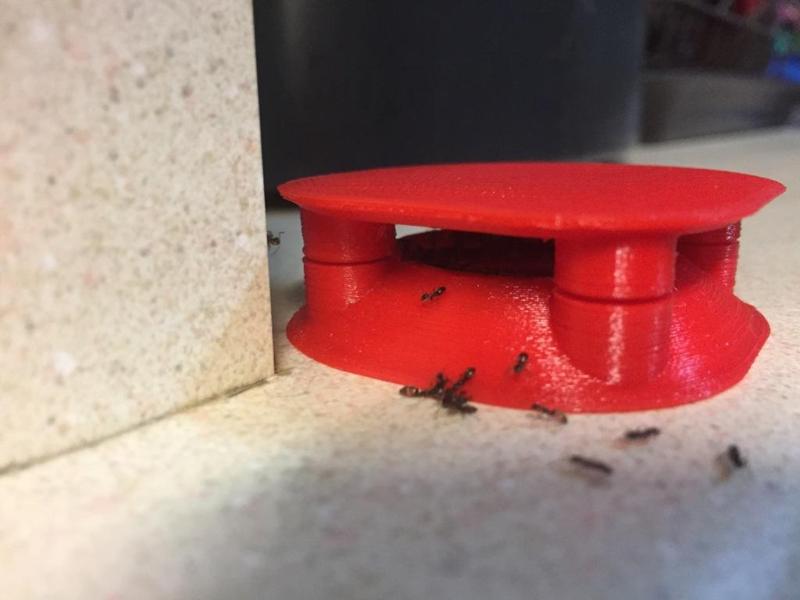 Bottle Cap Ant Trap