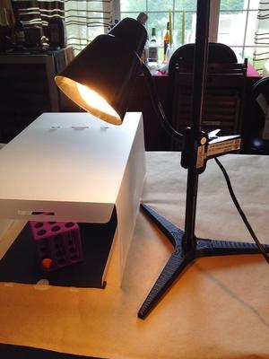 Gooseneck Cliplight Stand