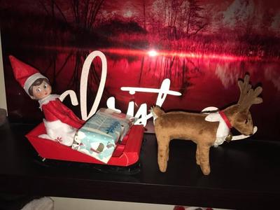 Elf On the Shelf Sleigh