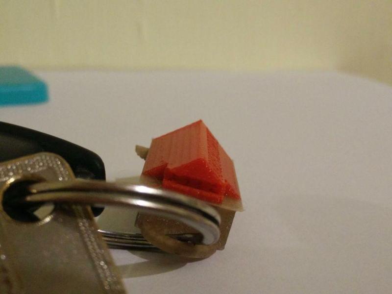 Schlüsselanhänger / Keychain "haifischdruckt" 