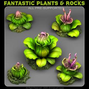 JUNGLE CARNIVOROUS PLANTS