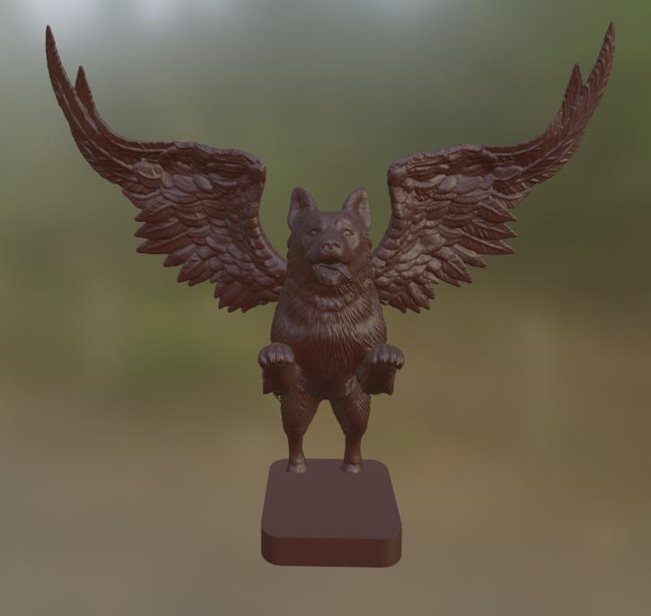 Angelic Australian shepherd