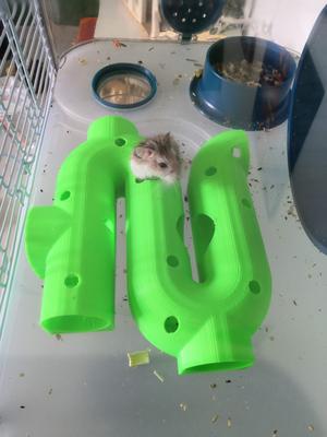 Hamster games without support